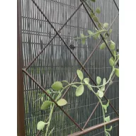   Grilă călugăriță  Classic Metal Trellis barna 0,42x1,5 m