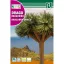 Dracena (Draco) Rocalba 4 bucăți