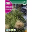 Dracena (Cordyline indivisa)  Rocalba