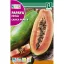 Papaya copac de pepene (Carica papaya)