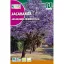Copacul violet (Jacaranda mimiosifolia)