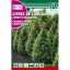 Chiparos de California (chamaecyparis lawsoniana)