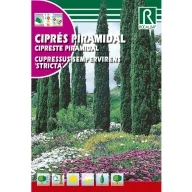 Chiparos european (Cupressus sempervirens)