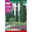 Chiparos european (Cupressus sempervirens)