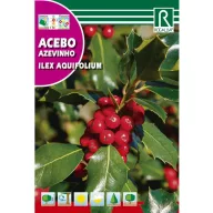 Ilex (Ilex aquifolium) Rocalba 1 g