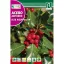 Ilex (Ilex aquifolium) Rocalba 1 g