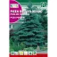 Pin argintiu (Picea Pungens)
