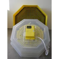 Incubator pentru  50-60 buc C5-HP