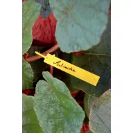 Etichetă de marcareTree label 40 db