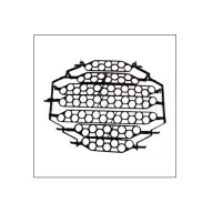 Grilă rotativă pentru 71 de ouă de prepeliță 