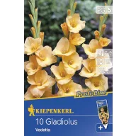 Bulbi de flori Kiepenkerl Gladiole Vedetta 5 buc