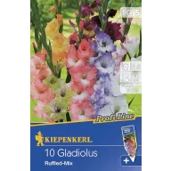 Bulbi de flori Kiepenkerl Gladioe Ruffled Mix 5 buc