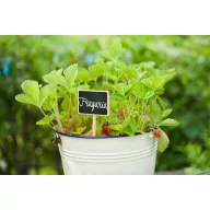 Panou de semnalizare, lemn 20,5x8,6x6cm, 4 buc.