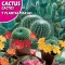 Cactus Mix (Cactos y Plantas crasas) 0,5g