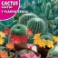 Cactus Mix (Cactos y Plantas crasas) 0,5g