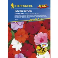 Slăbănog Divine Mix Kiepenkerl kb. 10 semințe