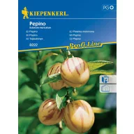 Pepene de ou Pepino Kiepenkerl 10 semințe