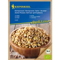 Sămânță de germene Bio Lentilă Kiepenkerl 60 g