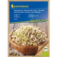   Sămânță de germene Bio Mix (lucernă, fasole mungo, muștar) Kiepenkerl 50 g