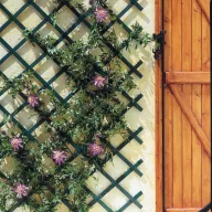  Grilă călugăriță plastic Trelliflex verde 1x2 m