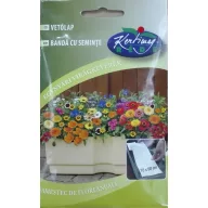 Card de însămânțare Mix de flori perene