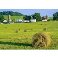   Semințe de iarbă Amestec profesional pentru cosit Energy (pentru zone umede) 25 kg