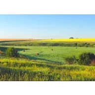   Semințe de iarbă profesionale amestec de luncă și pășuni Ökomix 25 kg