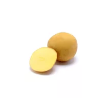   Tuberculi de cartofi pentru semanat, cartofi pentru chips "Sorentina" 50 buc