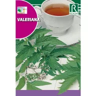 Valeriana Rocalba