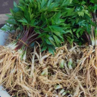 Ginseng real (Panax Ginseng) 5 boabe