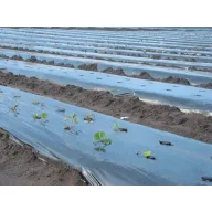   Folie TVK 12 m lățime Negru 0,18 UV 1 an S1F tăiat la dimensiune 