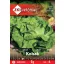 Salată  verde Kobak 3g ZKI