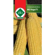 Porumb dulce MS Vega F1 100 semințe ZKI