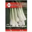 Arpagic de iarnă Long white Tokyo 2 g ZKI