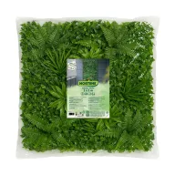 Perete verde cu plante tropicale Vertical Tropic 1x1 m