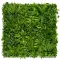 Perete verde cu plante tropicale Vertical Tropic 1x1 m