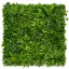 Perete verde cu plante tropicale Vertical Tropic 1x1 m