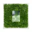 Perete verde cu plante tropicale Vertical Tropic 1x1 m