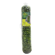 Peret verde cu plante forestiere Vertical Forest 1x1 m
