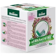 Borcan de germinare pentru semințe germene Blumen