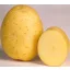 Tuberculi de semănat cartofi "Marabel" 5 kg