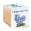 ecocube - Miozotis