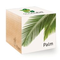 ecocube - palmier