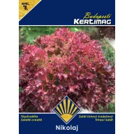 Salată Nikolaj BK 3g