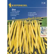Fasole pitică Dior 6-8 fm Kiepenkerl