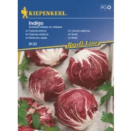 Salată Radicchio Indigo 40 semințe Kiepenkerl