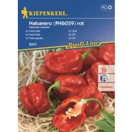 Ardei iute Habanero roșu min. 7 semințe Kiepenkerl