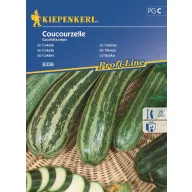 Zucchini Coucourzelle min. 8 semințe Kiepenkerl