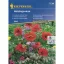 Grădină pentru insecte utile amestec de semințe de flori 30 m2 Kiepenkerl