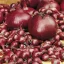 Ceapă pentru plantat Holland Red Karmen 14-19 mm 250 g VM